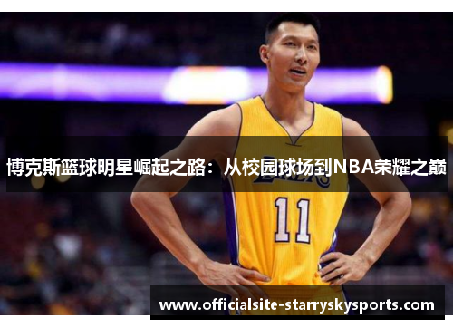 博克斯篮球明星崛起之路：从校园球场到NBA荣耀之巅