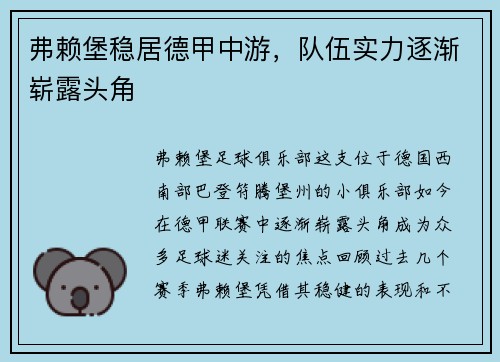 弗赖堡稳居德甲中游，队伍实力逐渐崭露头角